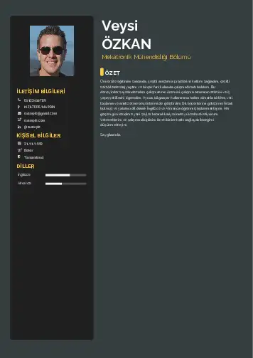 Mekatronik Mühendisliği Cv Örnekleri cv indir